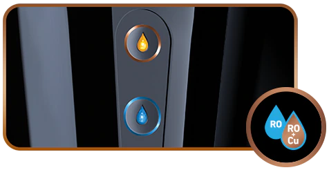 Dual water dispensing